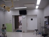 DSCN1385.JPG